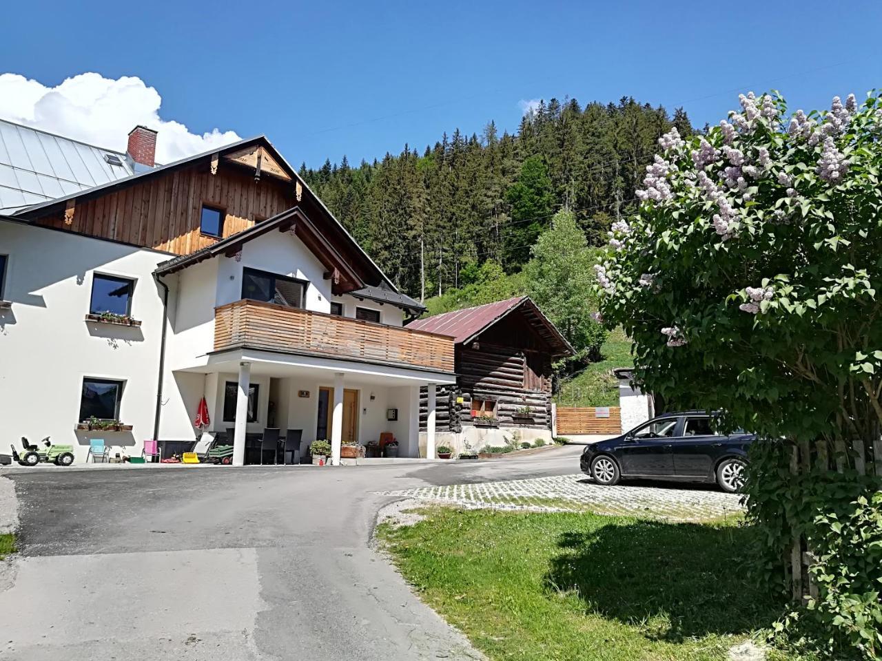 Appartement Großwallner Radstadt Exterior foto